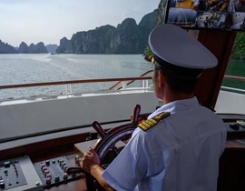 Day Cruises